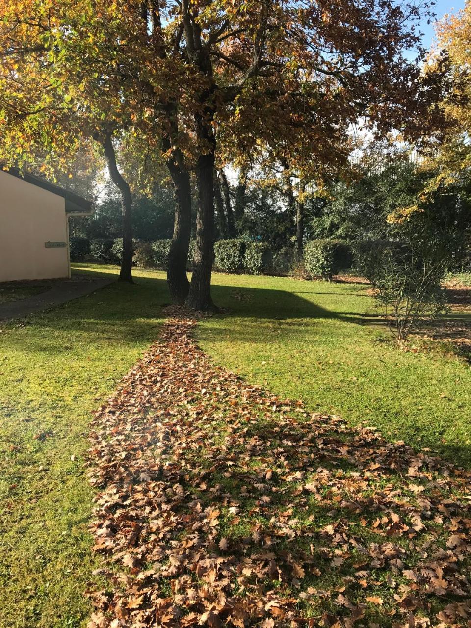 Residence Thibaud Toulouse Kültér fotó
